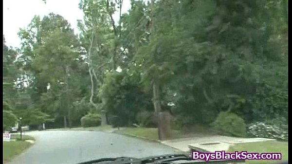 BlacksOnBoys - Nasty sexy boys fuck young white sexy gay guys 17
