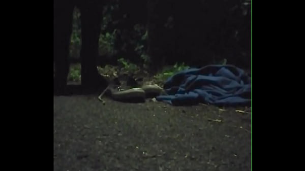 Taking My first nighttime walk naked at night 