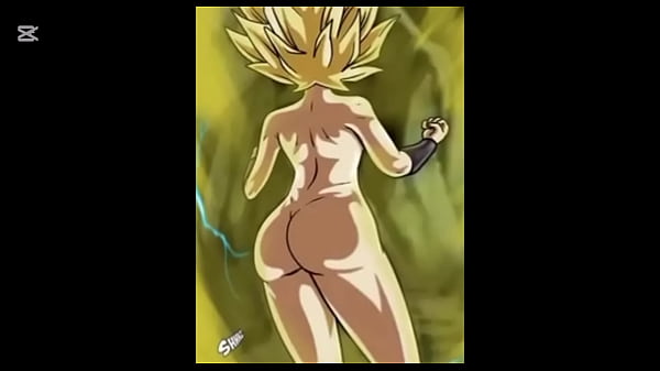 Goku el torneo del poder