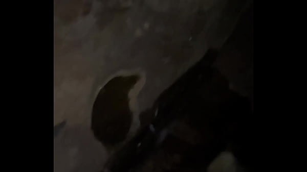 Ela ficou com vergonha de me chupar na cachoeira 