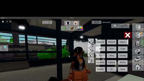 fucking a bitch in roblox brookhvaen