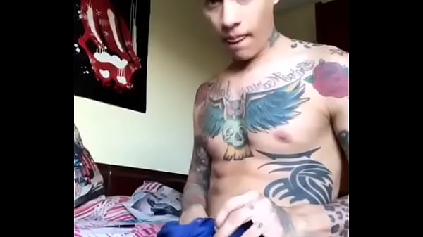 Alepaisa mostrando Verga