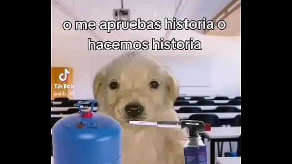 Nonton Xddd thumbnail