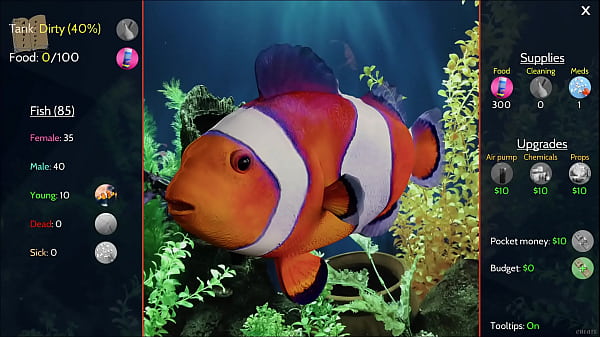 Being a dik 267 chick route 