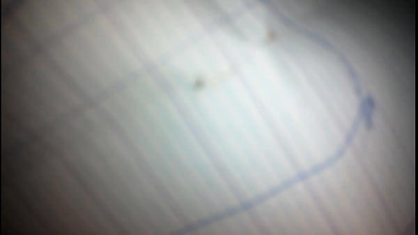 Video de v&eacute_rification