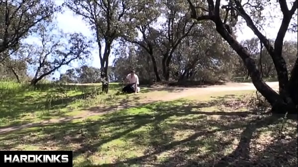 Hardkinks - A Dog And His Master thumbnail