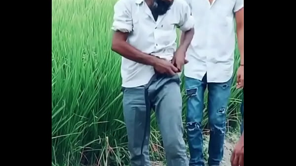 V&iacute;deo de verifica&ccedil;&atilde;o 