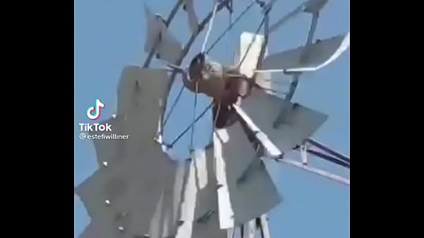 Nonton Video De Risas En El Que Un Hornero Sufre Dentro De Su Casa thumbnail