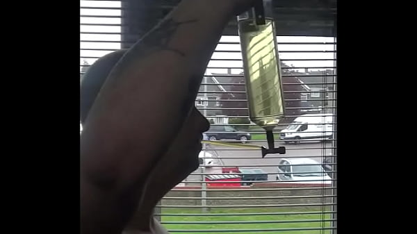 public swallower 