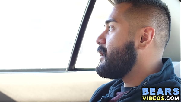 Bearded cub hammered by hairy old bear 