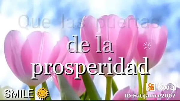 V&iacute_deo de verificaci&oacute_n