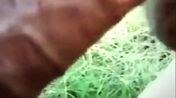 trim.D58BC621-2FF3-4816-8381-62EA5D5EDD61.MOV 