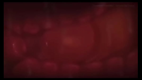 Nonton Inside View Of Sex thumbnail