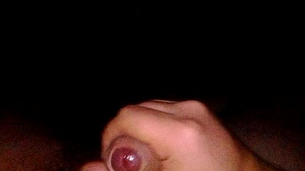 lonely bear's late night wank 