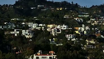 Hollywood peso pluma video thumbnail