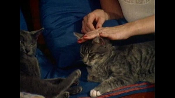 Play MP4 - LBO - Showgirl Superstars 05 - scene 2