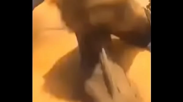 Nonton Trim.575d3855-133f-4e62-8995-0428cf05e04f.mov thumbnail