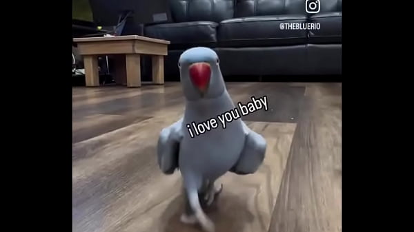 Hey you yes you i just wanted to thank you that you are on my side ️ 