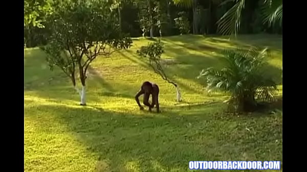 Nonton Hustler thumbnail