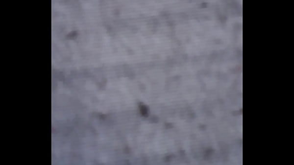 V&iacute_deo de verificaci&oacute_n