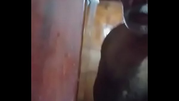 Play MP4 - exibindo o pau