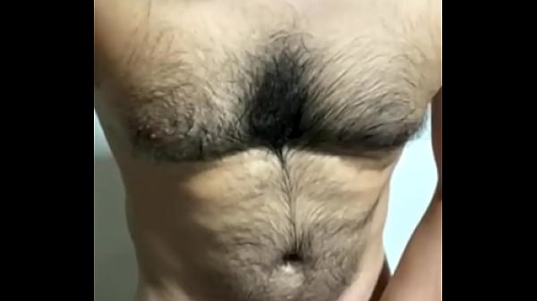 Urso gato e gostoso 