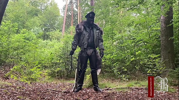 Down Cattle thumbnail