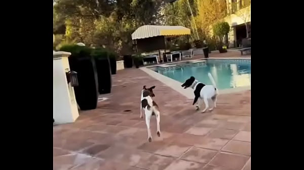 Looking for girls to. Shoot Halloween stuff at this house Friday night! My friend is leaving the country for a month and ... 