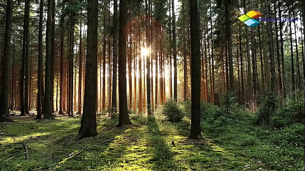 Nonton Cool Romantic Creampie Sex. Please Subcribe For More Hot Videos thumbnail