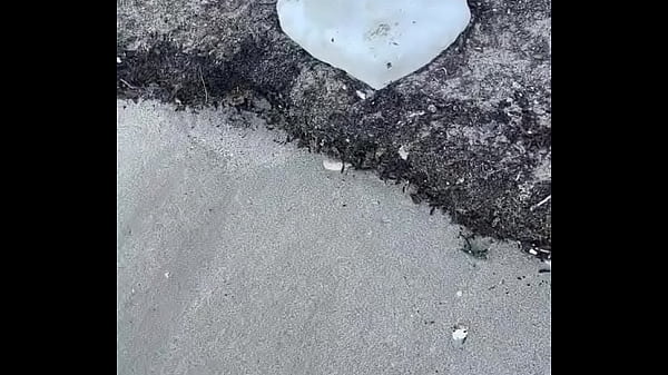 - Update #110 (2024-07-30T15:02:02.000Z) 