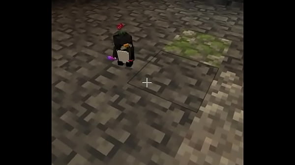 Pto Pinguino thumbnail