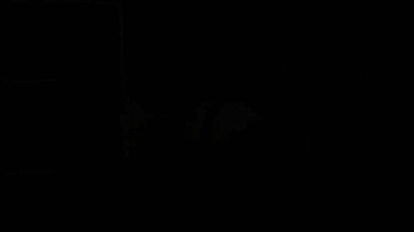 IMVU &quot_Late Night Sex&quot_