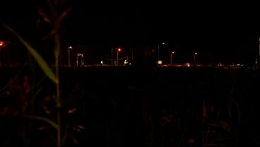 Glued agirl onthe street and_gave hera mouthful in the bushes