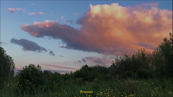 Sentado debajo de un arbol 