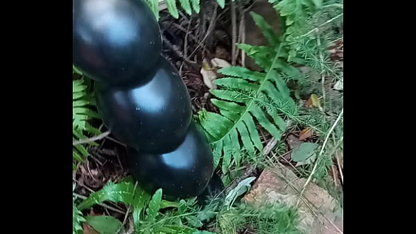 Alucinogenas en el bosque 