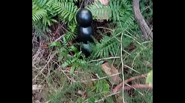 Nonton Alucinogenas En El Bosque thumbnail