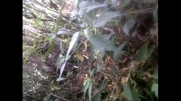 Outdoorblowjoband fucking