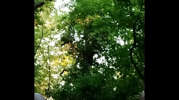 2025 05 01 esclave f la salope en foret 