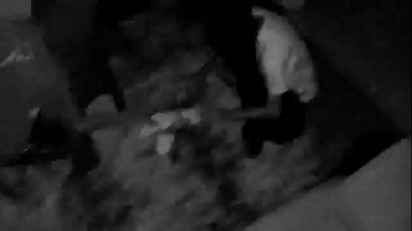 O mundo peculiar de uma bronha selvagem 