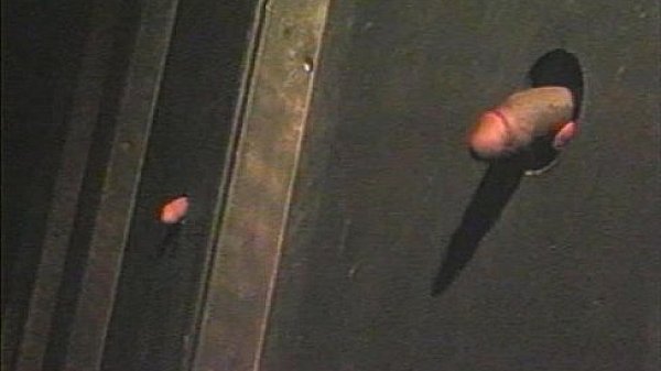 Pacific Sun - Nubian Hores 1 2 - scene 1 