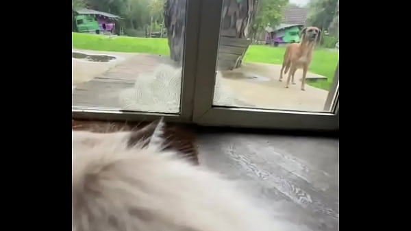 Dive Into The Chaos At Psyland25 With Me - You Like It ?tattoo Machines Buzzing, Loud Music Pumping, And Vibrant ... thumbnail