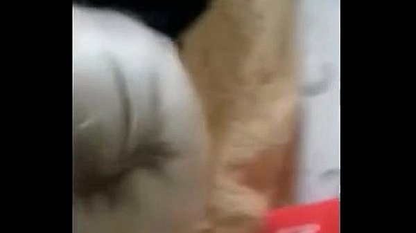 Nonton Blondie Sucks Avg thumbnail