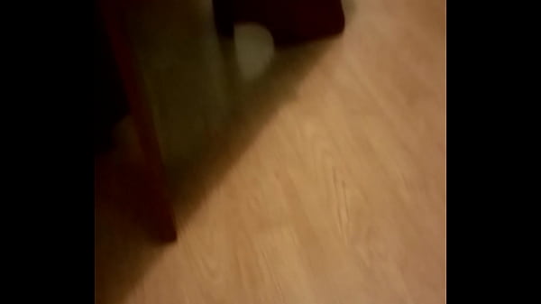 Ověřovac&iacute_ video