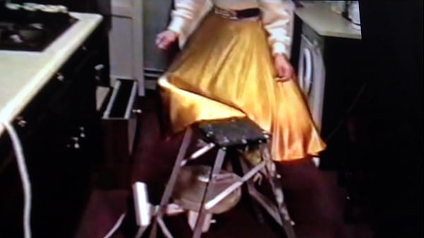 Raising her skirt to comply with his wishes 