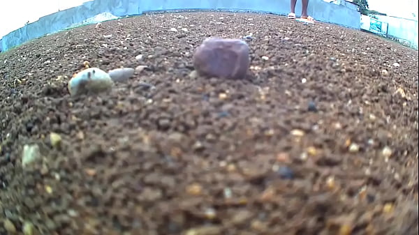 Nonton D&eacute;sol&eacute; thumbnail