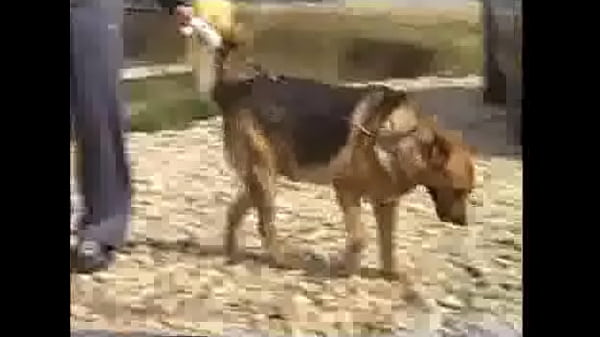 Nonton 1083 thumbnail