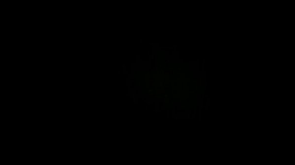 Nonton Vid 20140730 004256 thumbnail