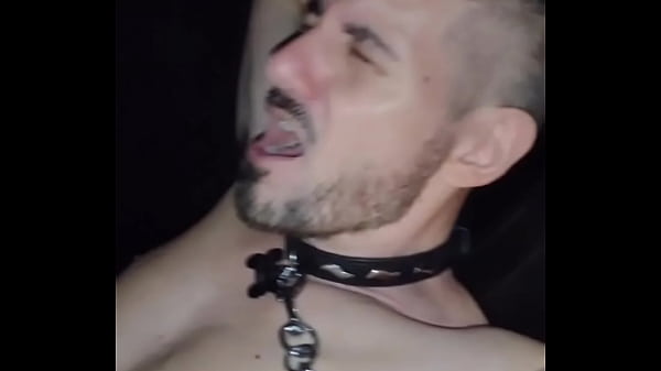 Orlando E' La Cagnetta Del Locale Sulla Sling Per Ordine Del Padrone thumbnail