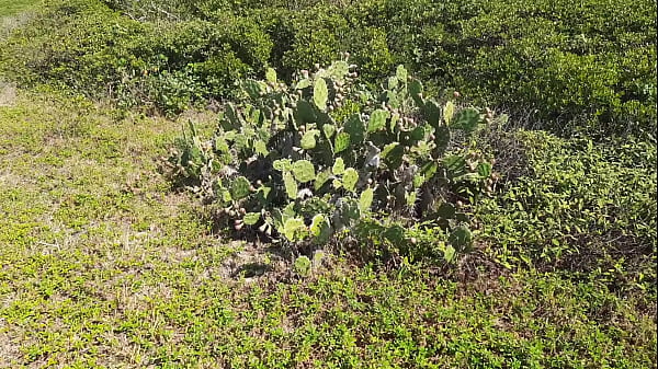 Nonton Outdoor Sex, Deep Blowjob And Super Hot Fucking. thumbnail