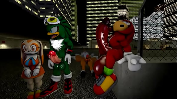 Flash track sonic sfm